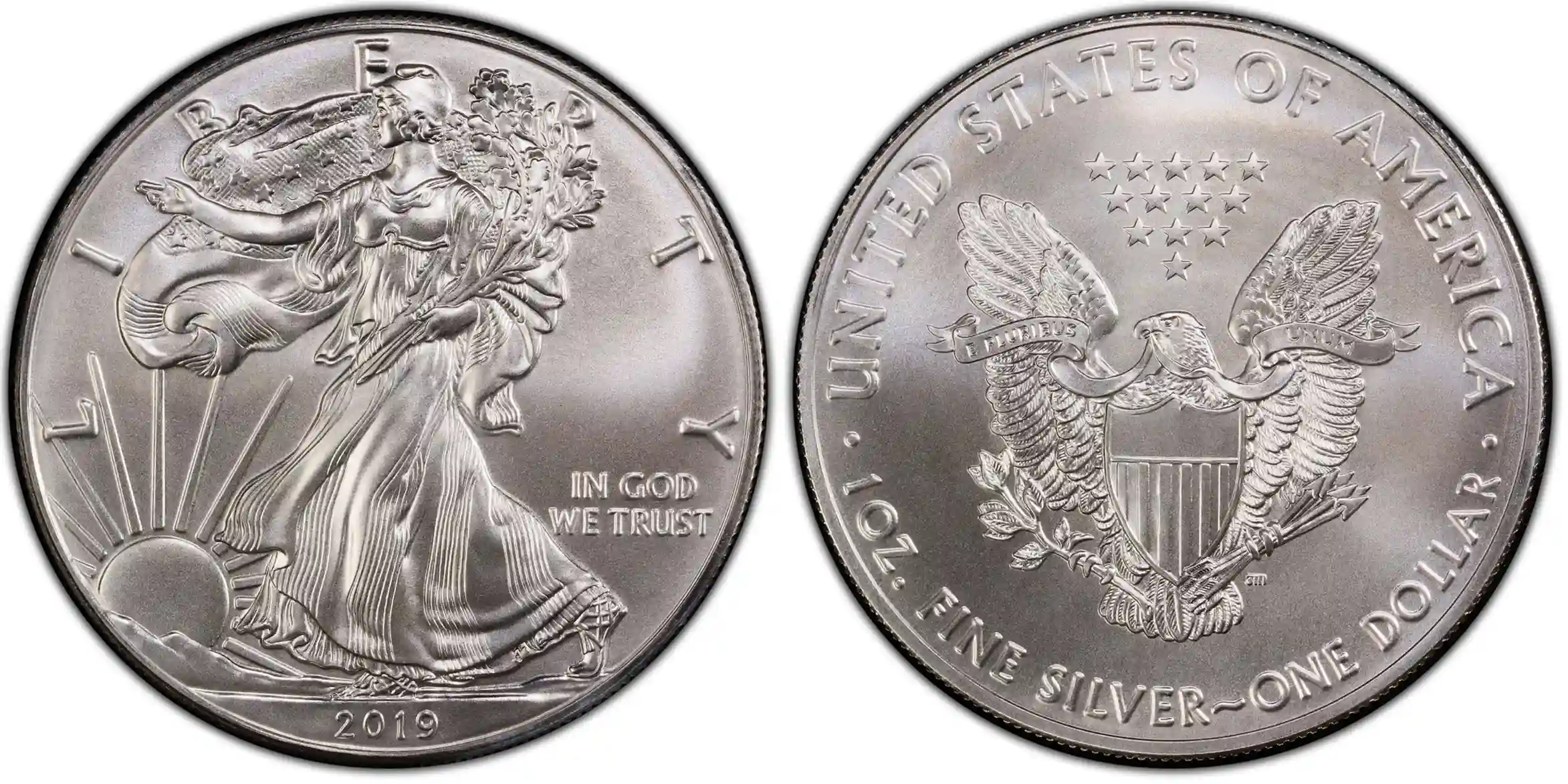 2019 $1 Silver Eagle